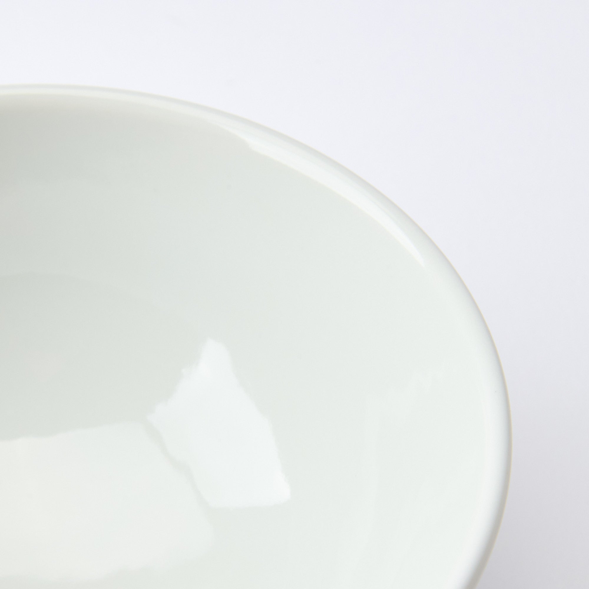 Spring Flowers Japanese Rice Bowl