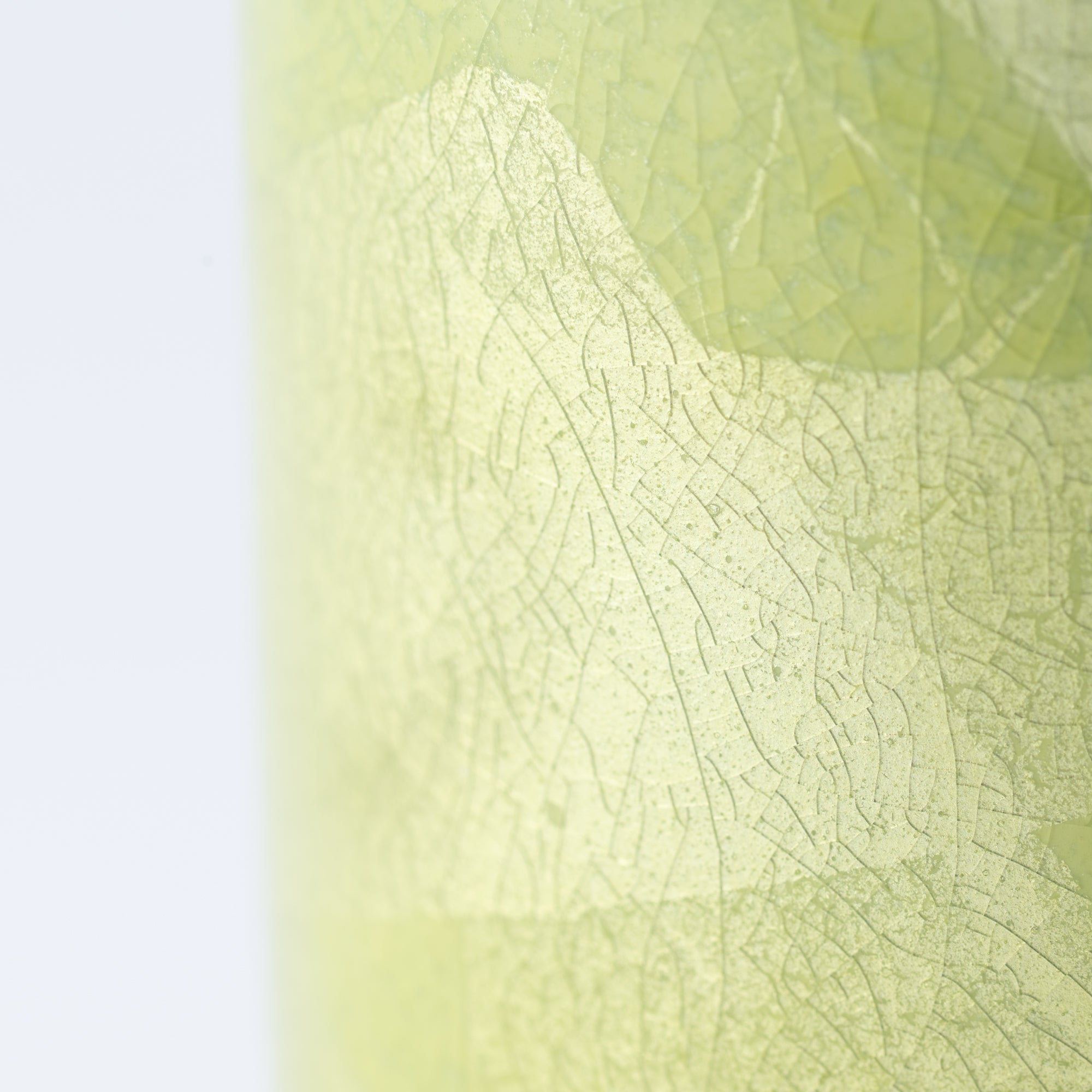 Ginsai Colors Japanese Flower Vase