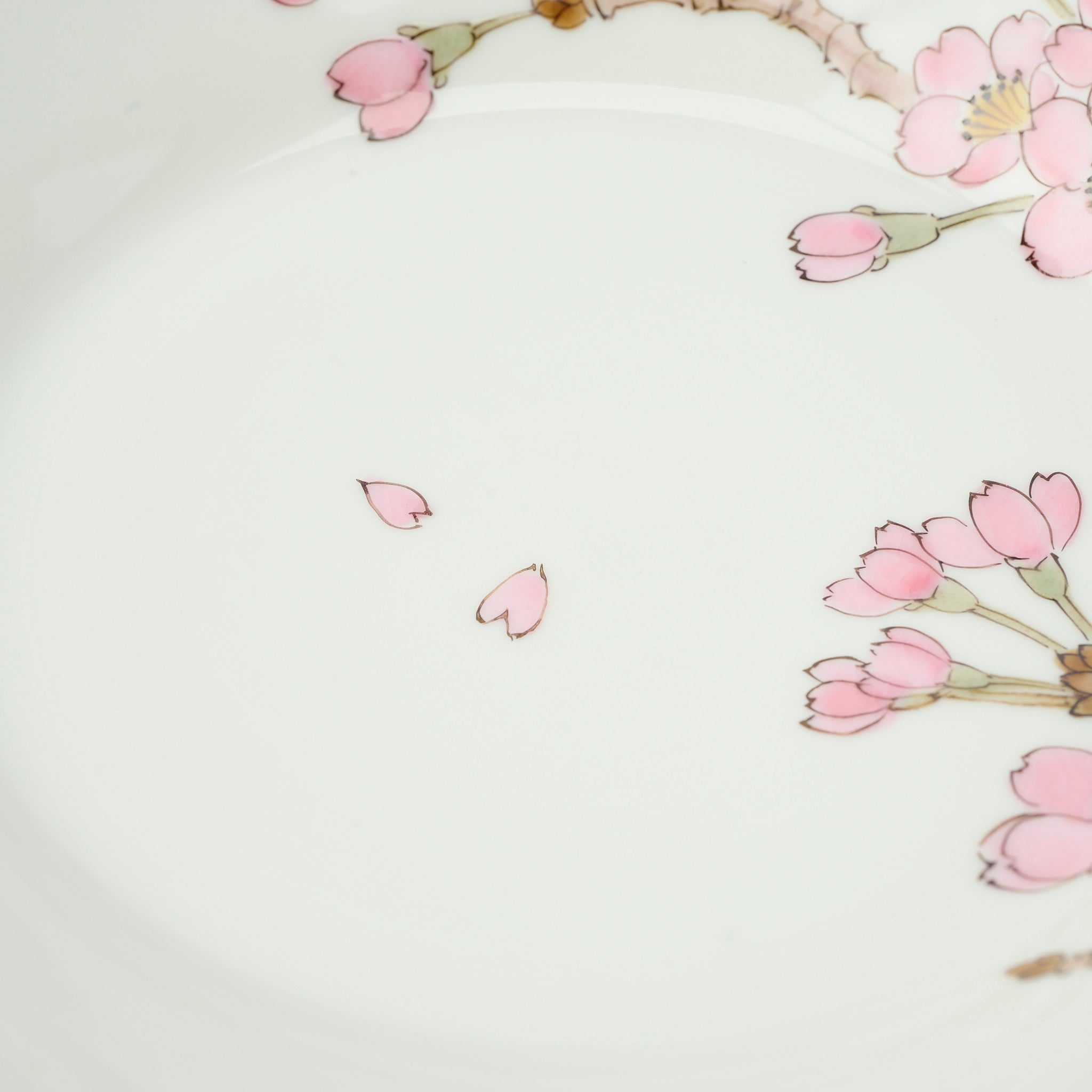 Sakura with White-eye Large Bowl