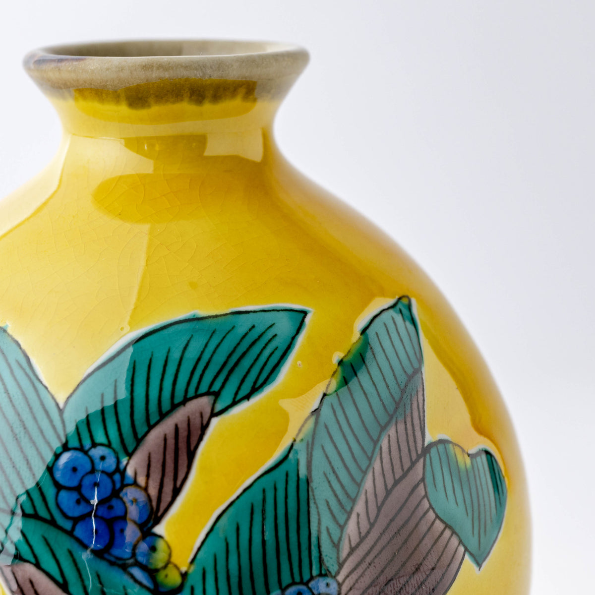 Yoshidaya Plants Sake Set