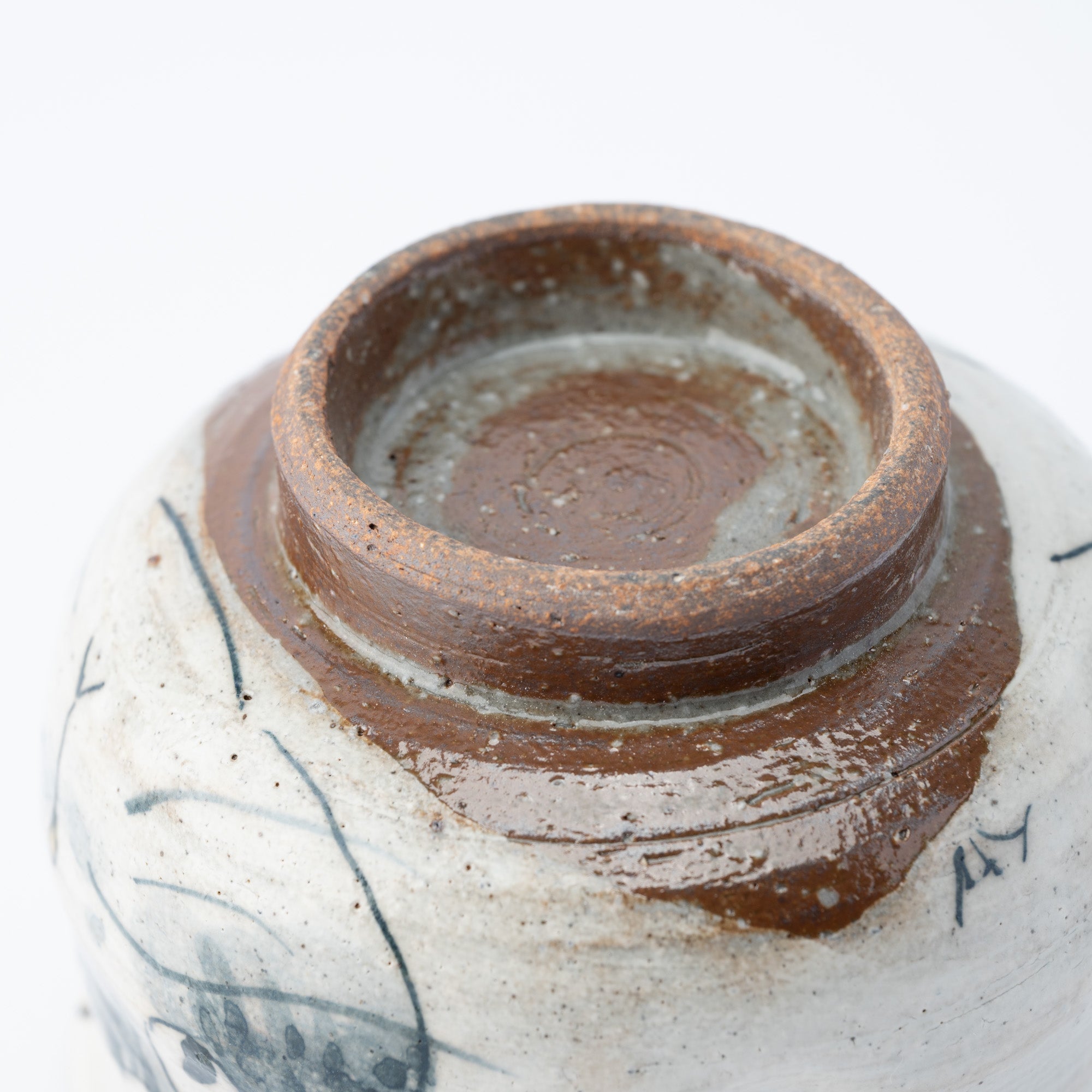 Curious Cat Japanese Teacup