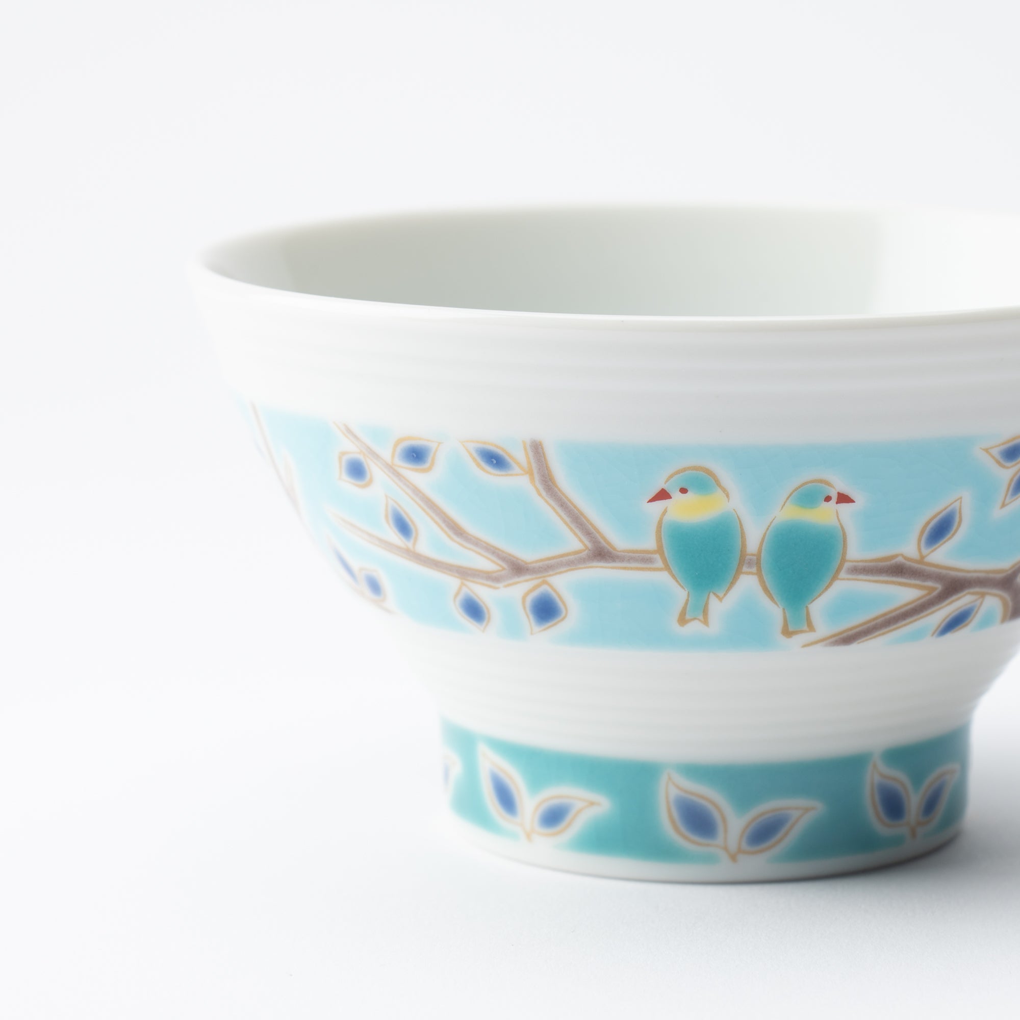 Rings of Color Japanese Rice Bowl