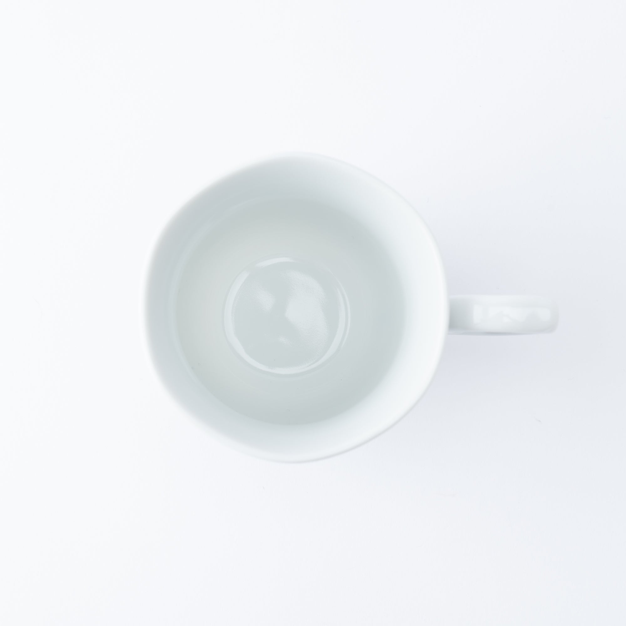 Bird and  Blooms Mug