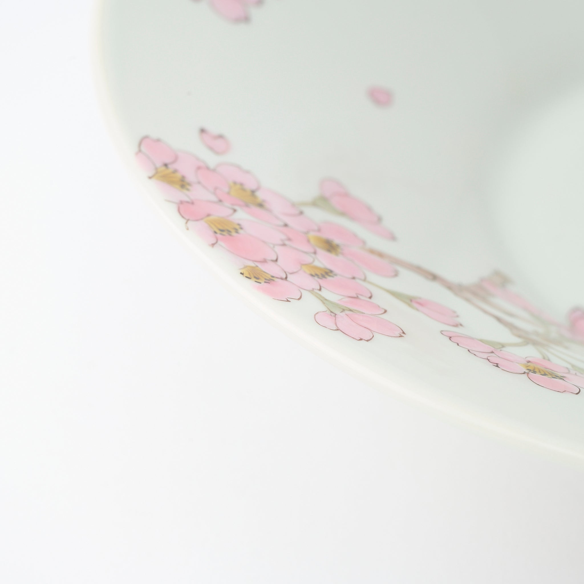 Sakura with White-eye Large Bowl