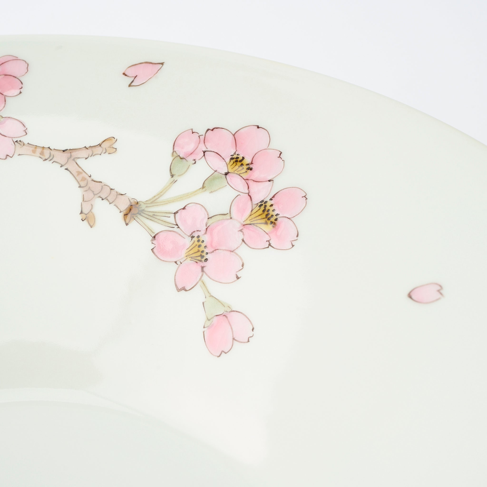 Sakura with White-eye Large Bowl