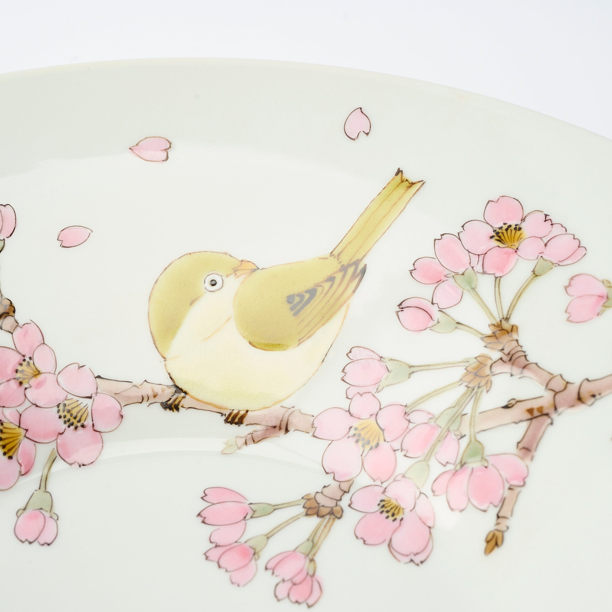 Sakura with White-eye Large Bowl