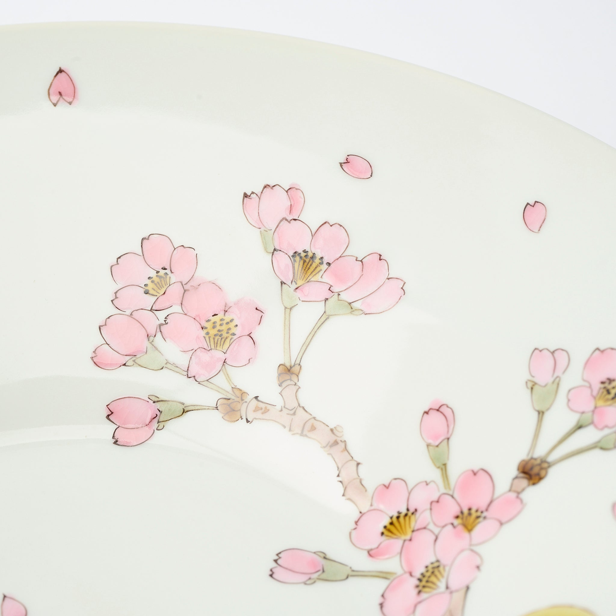 Sakura with White-eye Large Bowl