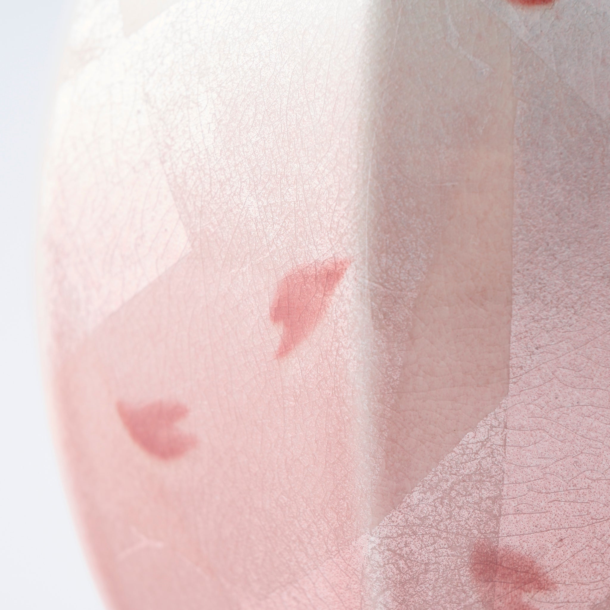 Ginsai Dancing Sakura Flower Vase - JAPAN KUTANI SHOP