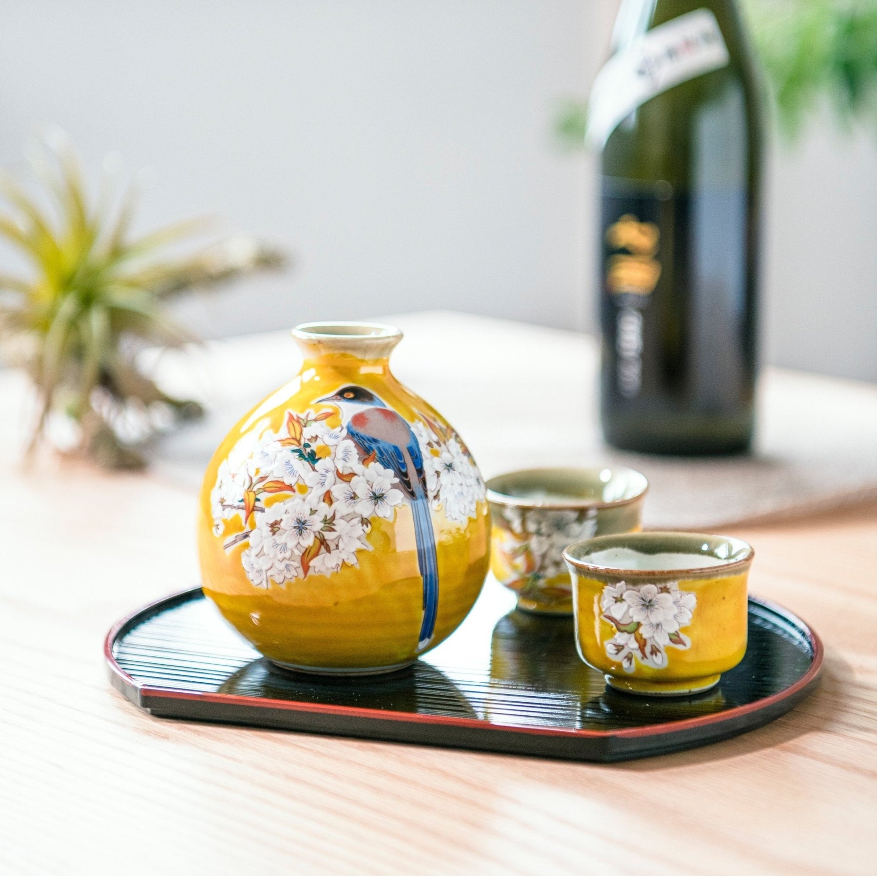 Seigaiha Ceramic Sake Set – Seigaihaya