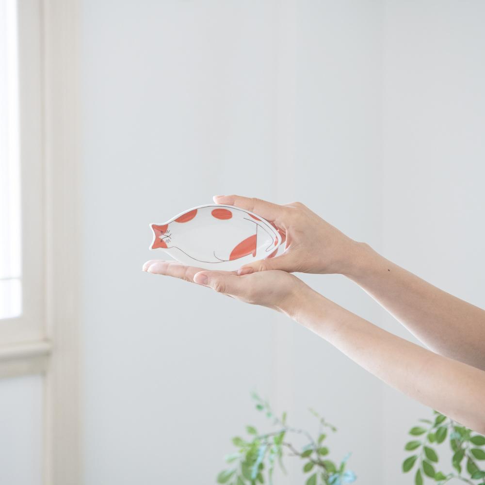 Harekutani Cat Sauce Plate - MUSUBI KILN - Handmade Japanese Tableware and Japanese Dinnerware